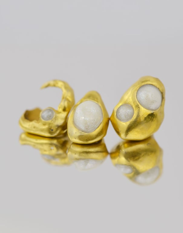 Perlífera del Golfo